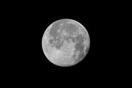 今夜月明人尽望 天涯共此一轮月(今夜月明人尽望下一句)