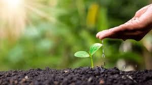 BSM: Preparing for All Possibilities in the Future