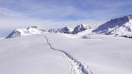 珠峰暴雪 向导一人一狗“人肉开路” 极寒中的生死救援(珠峰雪线)
