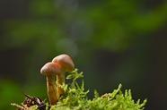 告诉王维 西出阳关全是人：假期景区人山人海(王维送别的人是谁)