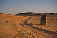 Cy5-Glu-Ser-Tyr-Ser-Ala-Lys-His-Arg-Ile-Met-Leu-Thr